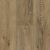 TimberTru-Forest Trek_LFR4384EIR