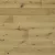 COSTA EUROPEAN OAK VASTO