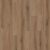 Canyon Coast Alpine Ambiance LI-CC02