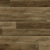 Lions Floor Bambino Ganache BB-III