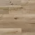 Sessile Oak REOR2305