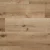 Water Oak REOR2301