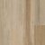 American Hickory GA651115