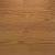 Color Plank - Golden Oak