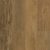 Elk Horn GA657508
