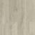Sand Dollar GA652312