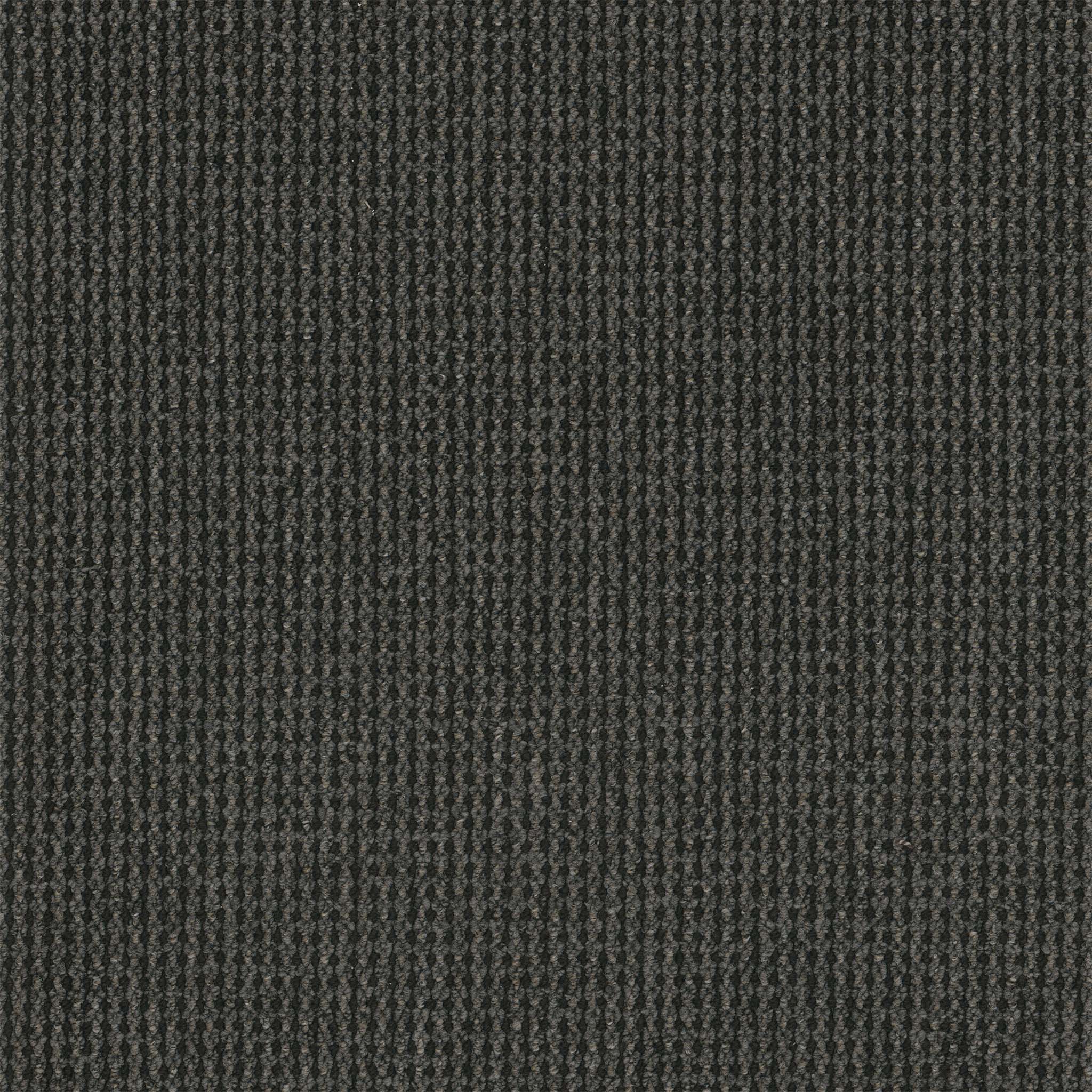 Backroads Broadloom 3061B