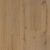 European Oak Gobi