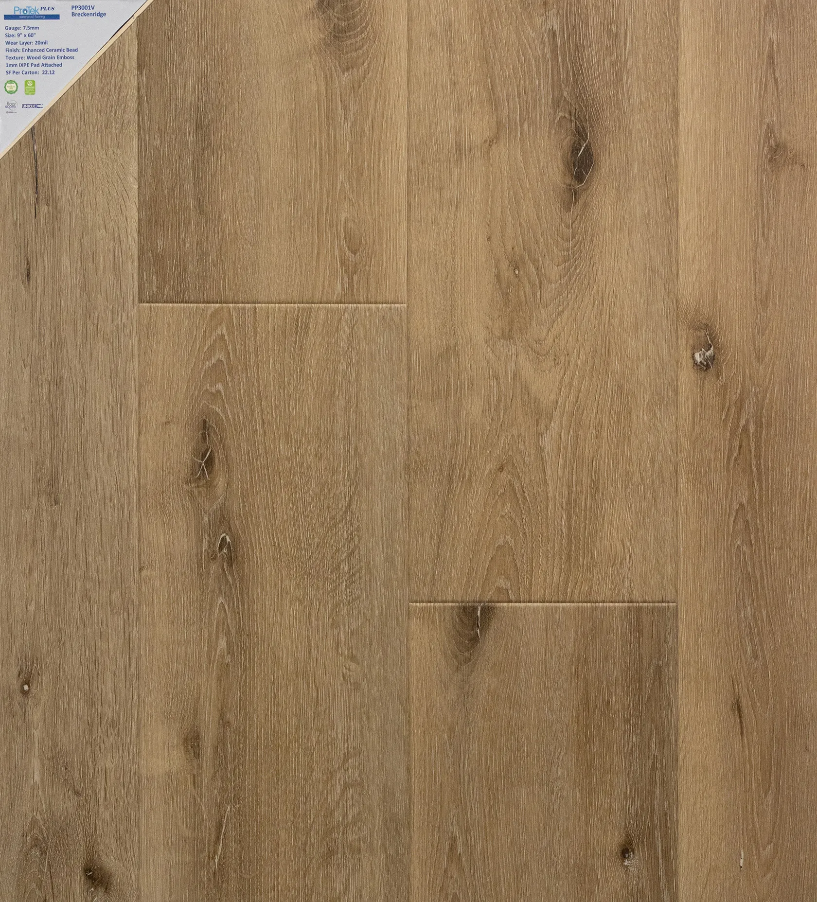 PP3001V - Breckenridge-