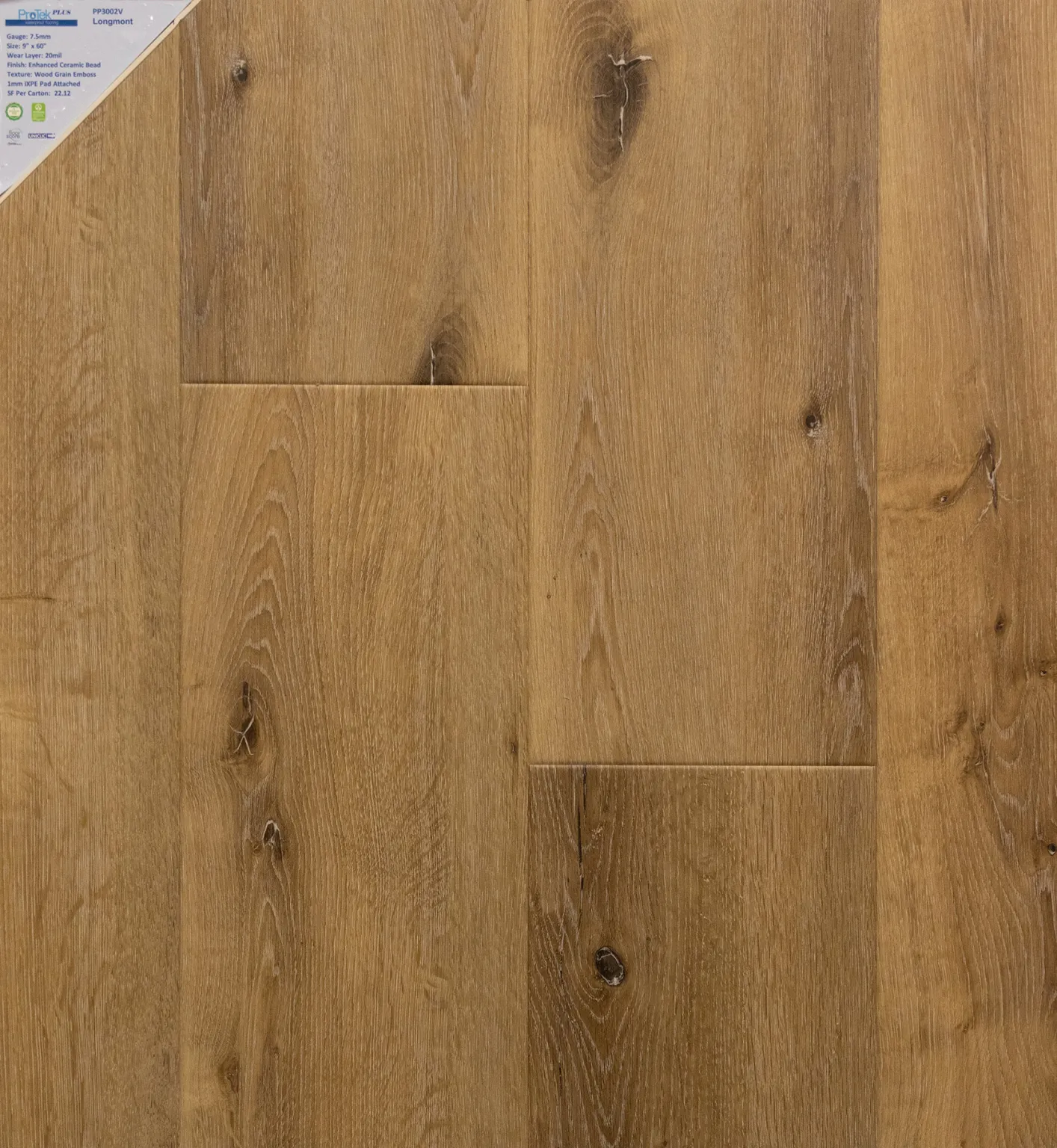 PP3002V - Longmont-