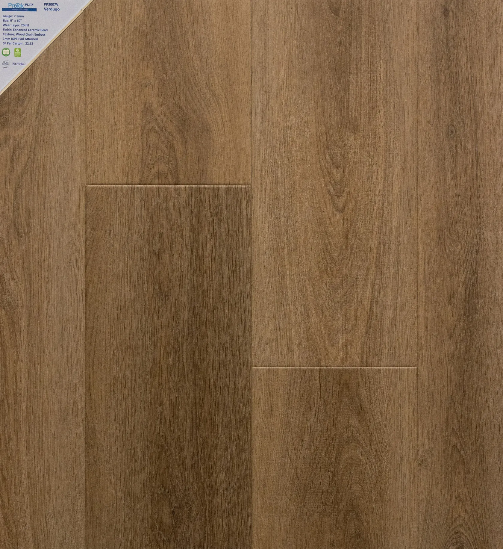 PP3007V - Verdugo-