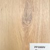 PP3008V - Payson