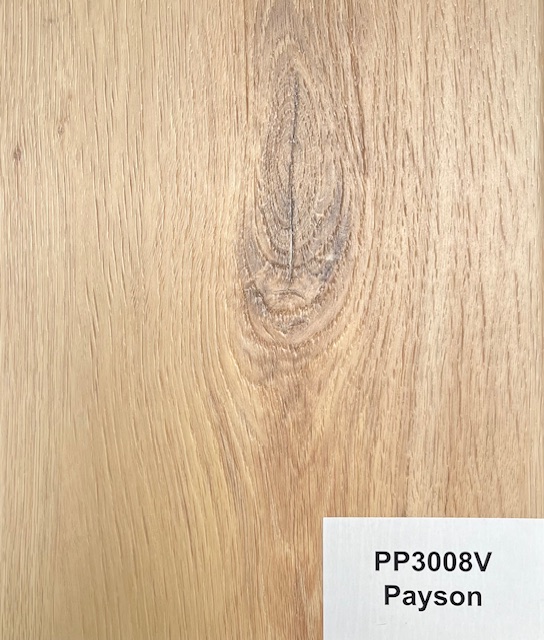 PP3008V - Payson