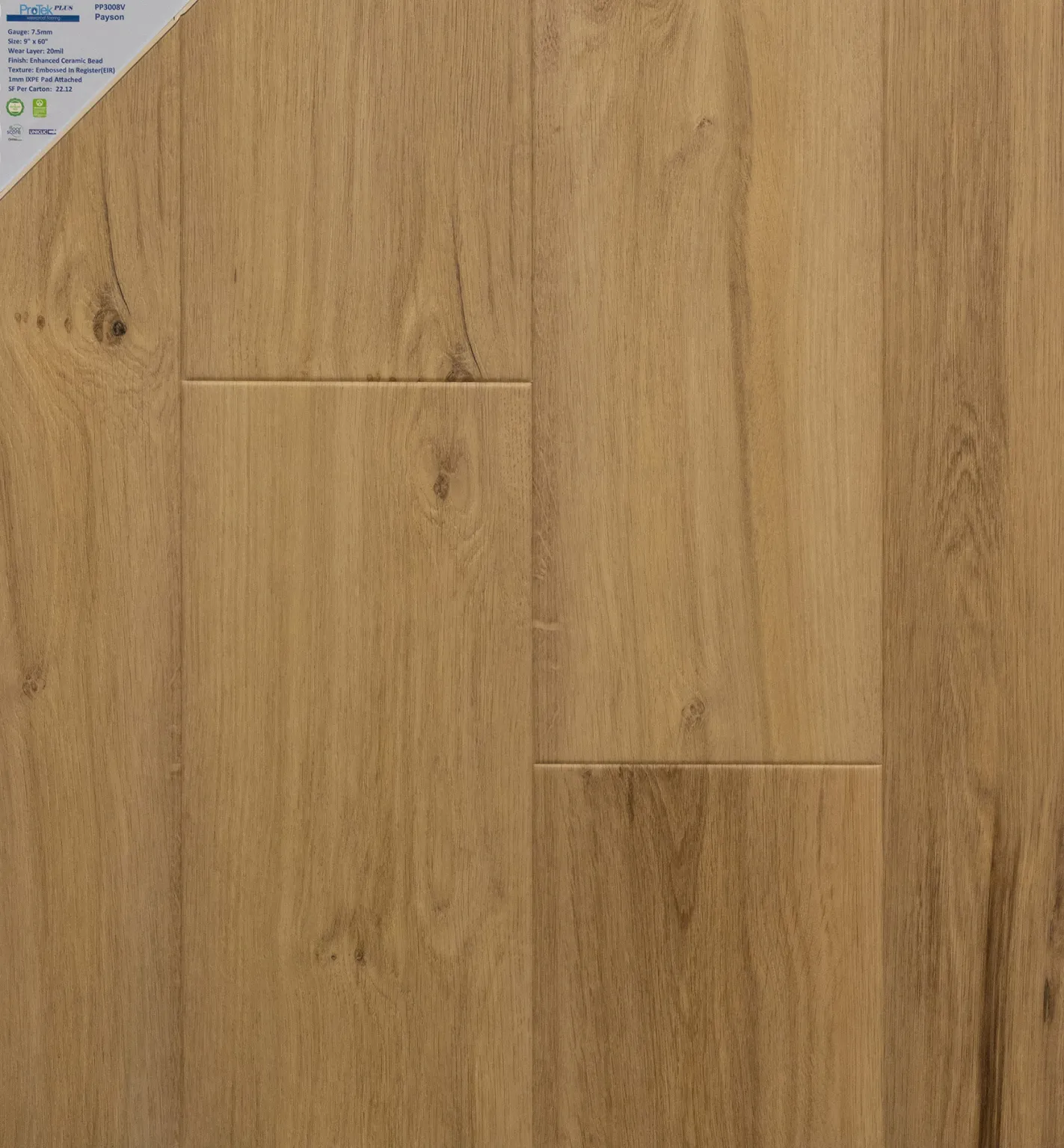 PP3008V - Payson-