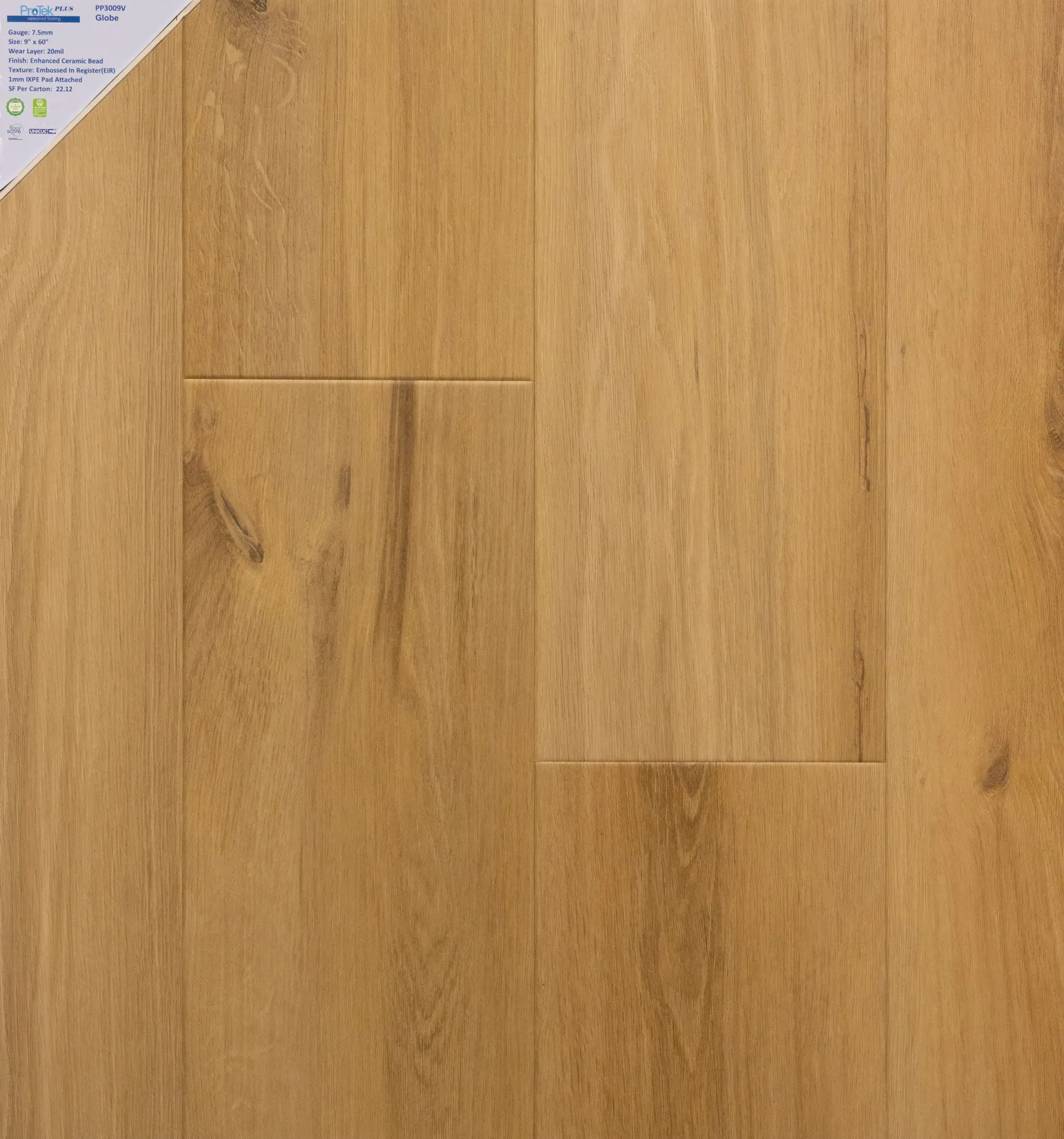 PP3009V - Gobe-