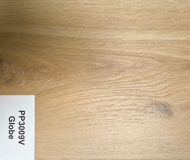 PP3009V - Gobe