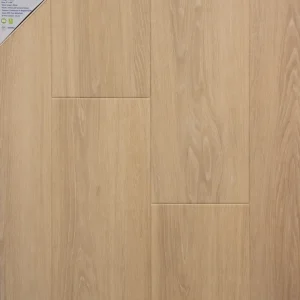 ProTek Plus