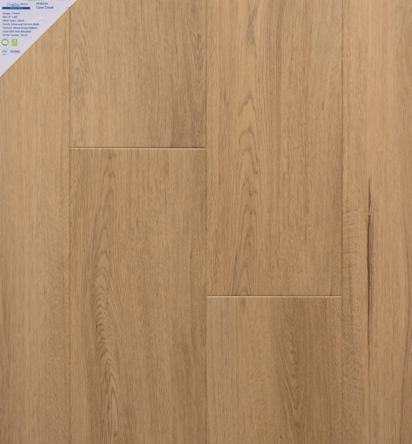 PP3013V - Cave Creek-
