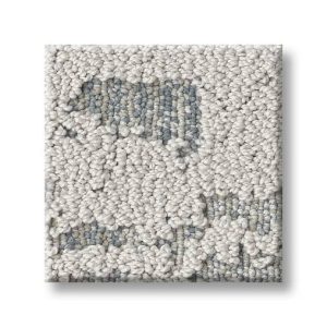 Anderson Tuftex Carpet - DISCOVER ZZ329
