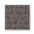 WALNUT-00705
