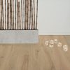 MSR-2110 Mink-