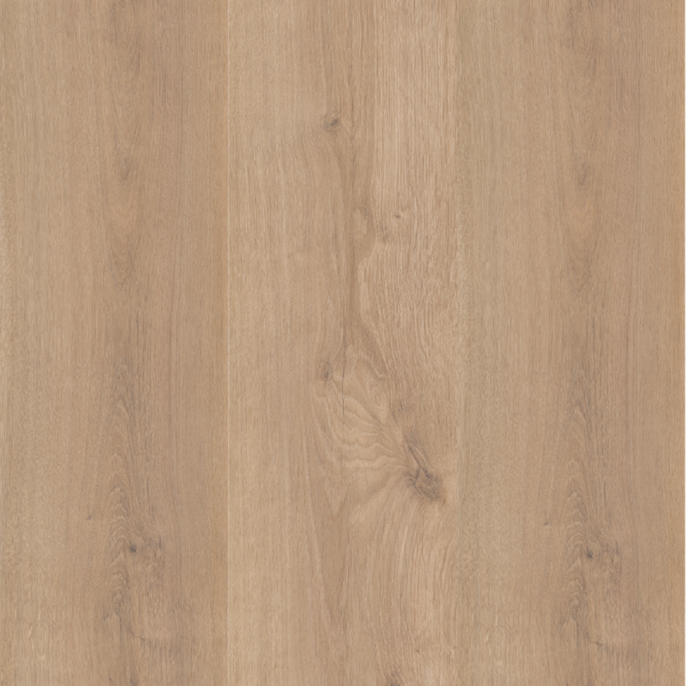 Sequoia XL
