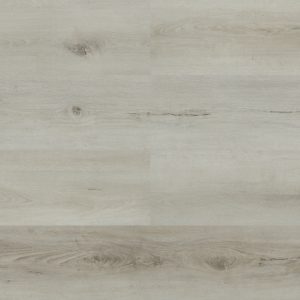 Paradigm Performer Plus 12mil