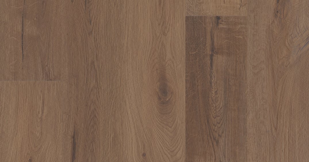 Cerith Oak VV810_04027