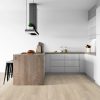 Conch Ash - VV810_01024