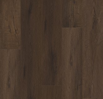 Midnight Oak - VV810_03019