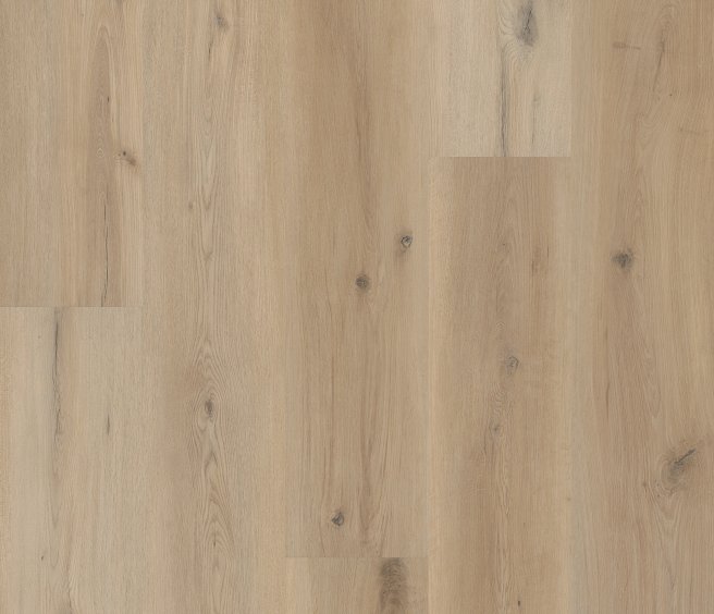 Sea Salt Oak - VV810_05028 COREtec VV810
