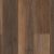 VV488_02094 Cheshire Elm