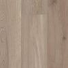 Vintage Taupe Ash - VV810_03021
