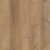 BERLIN PINE - VV491_02958