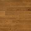 EK9TW418W_Foreword Tan