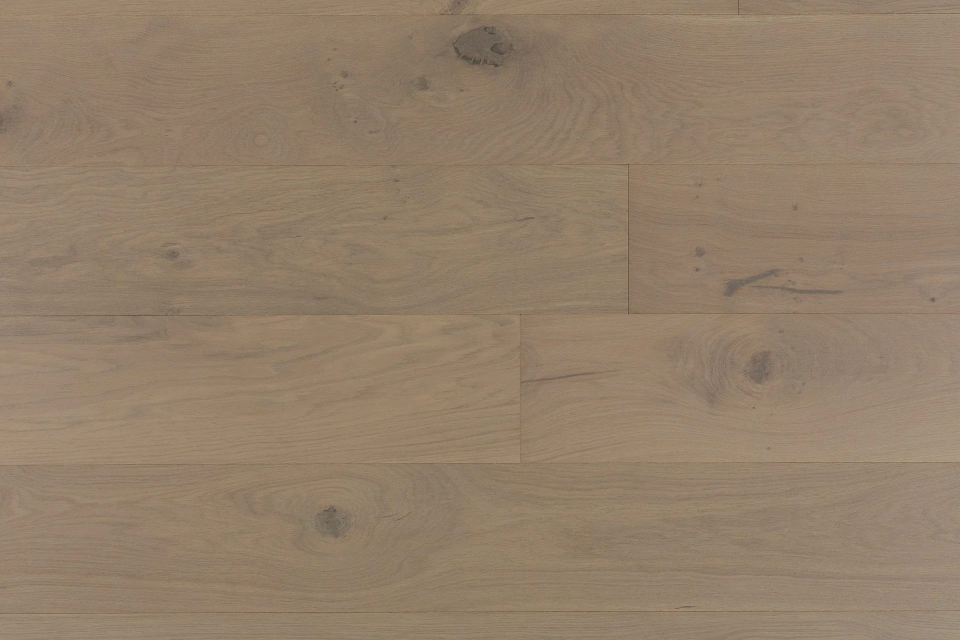 OAK CAPRI BENE