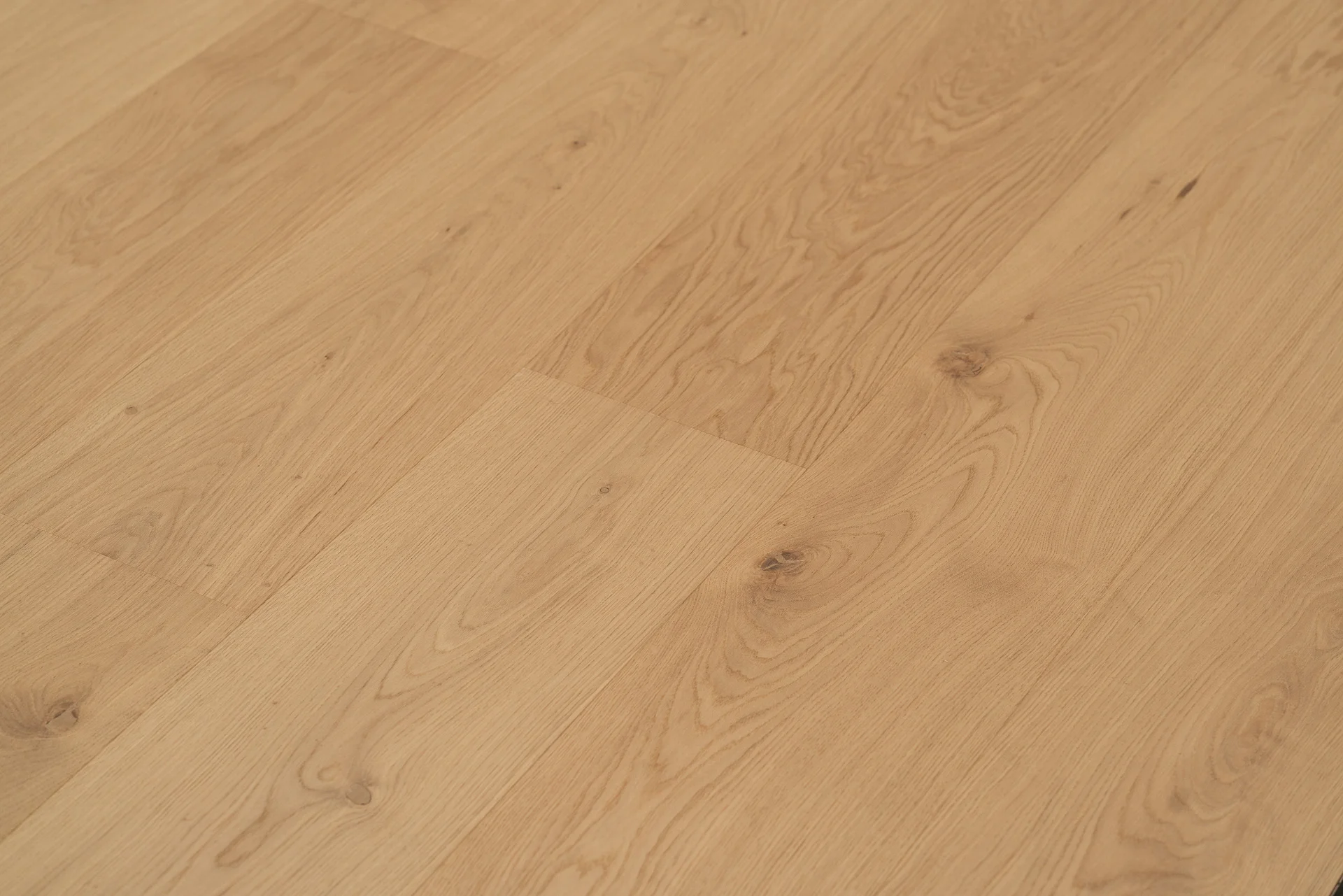 OAK LASA BENE-