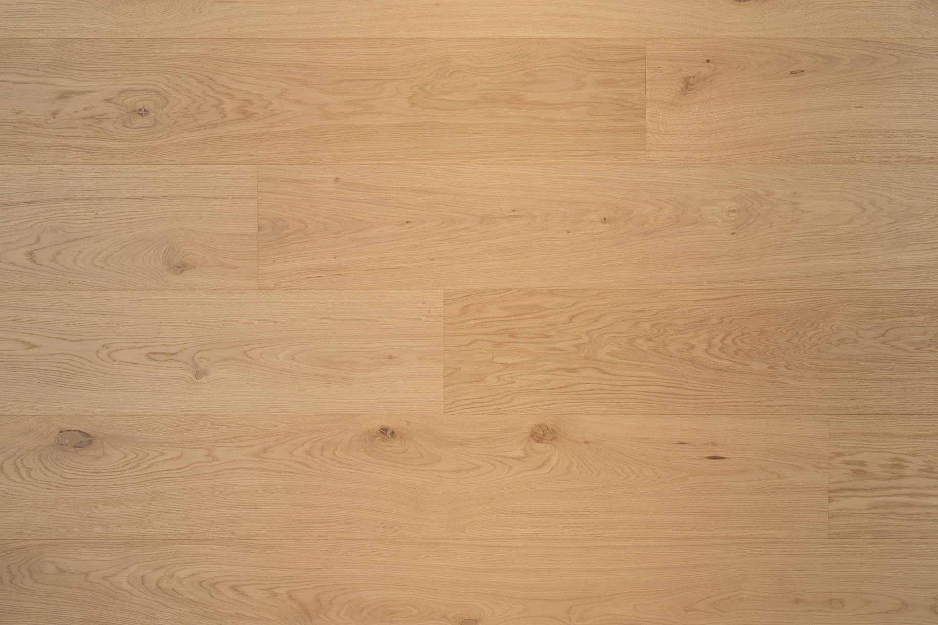 OAK LASA BENE