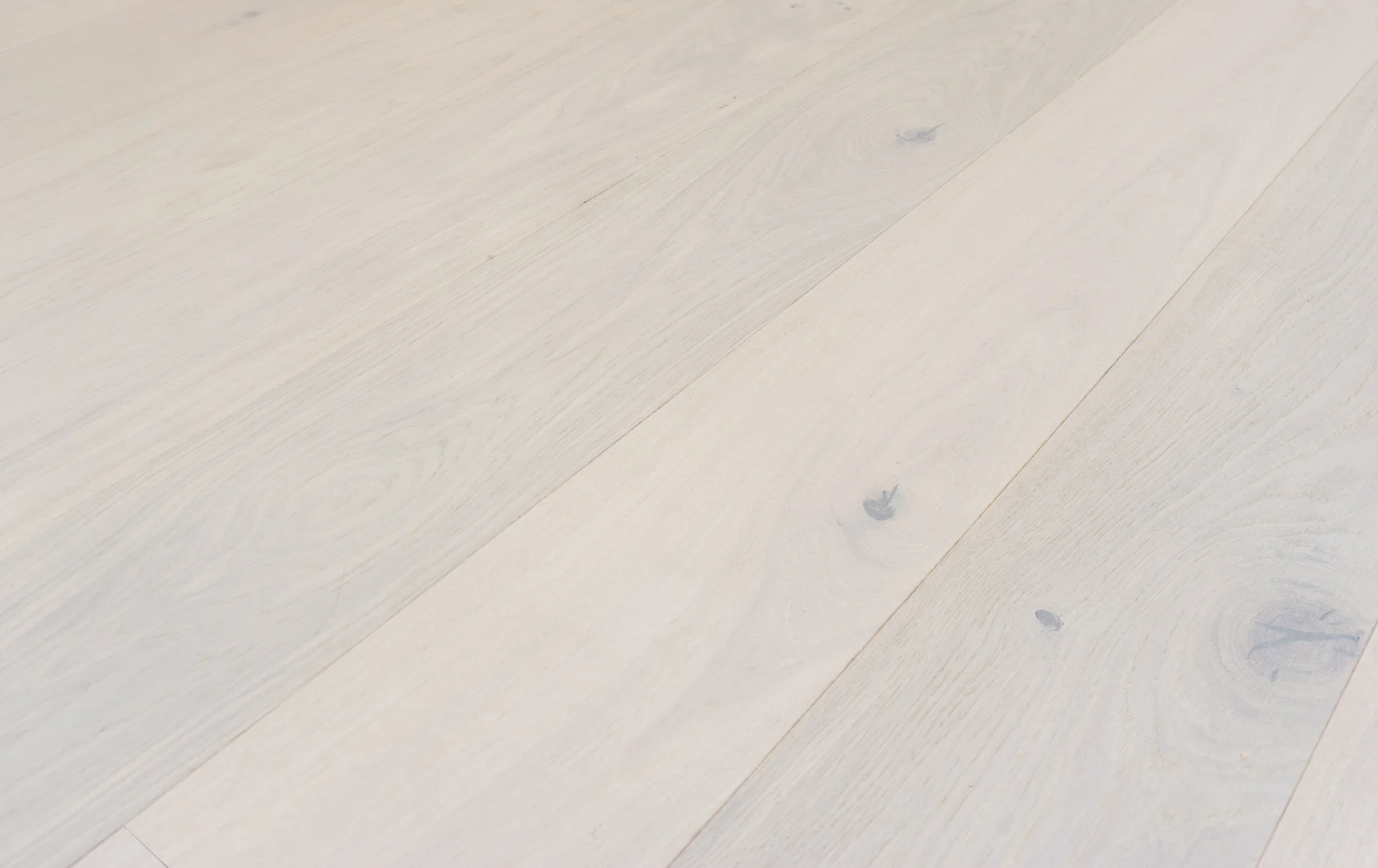 OAK PISA BENE-