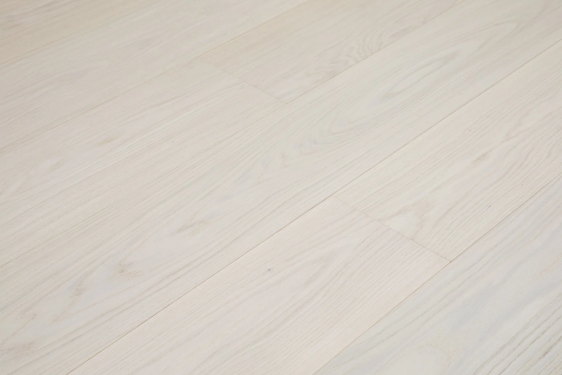 OAK PISA PREMIO-