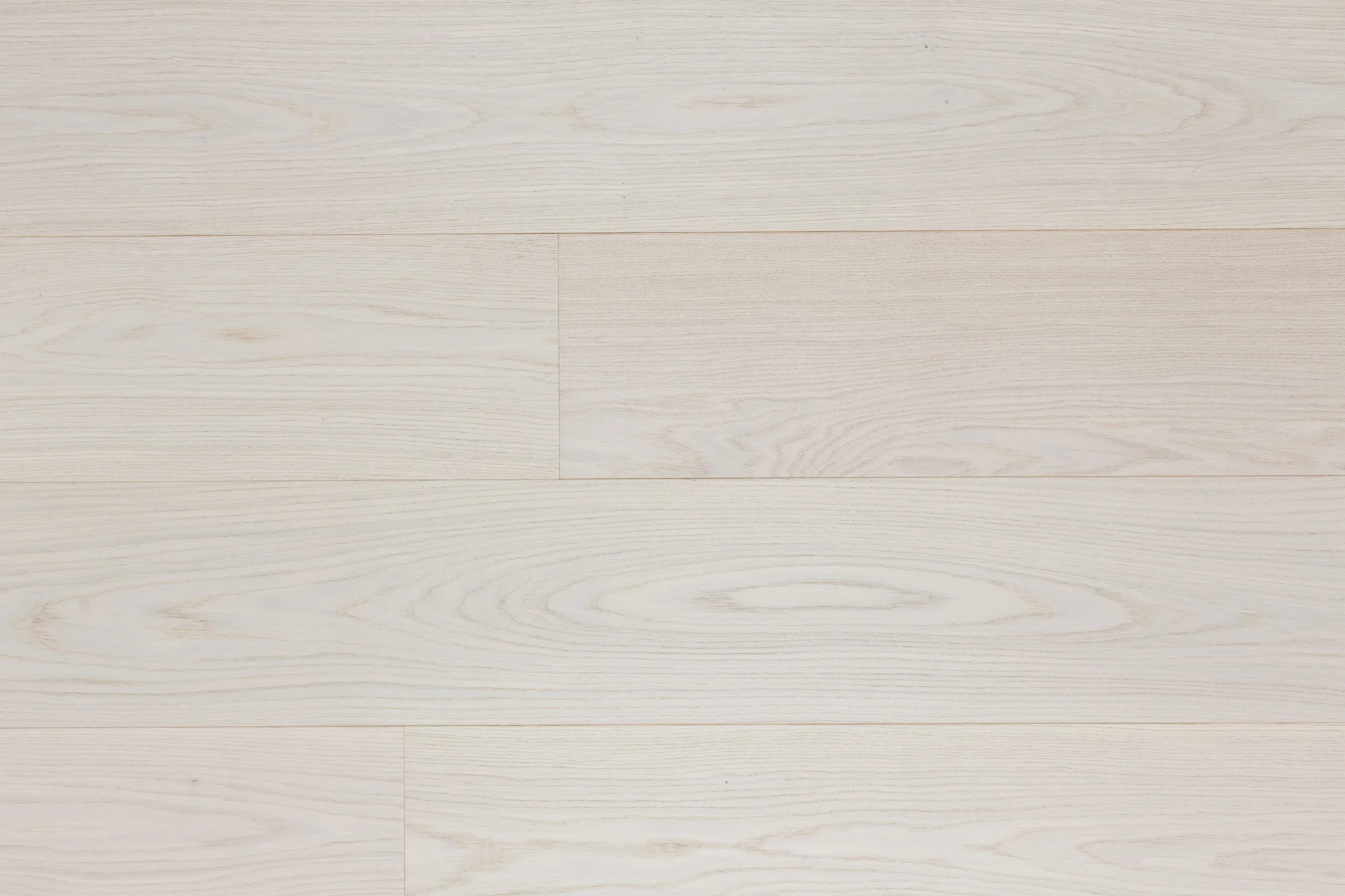 OAK PISA PREMIO