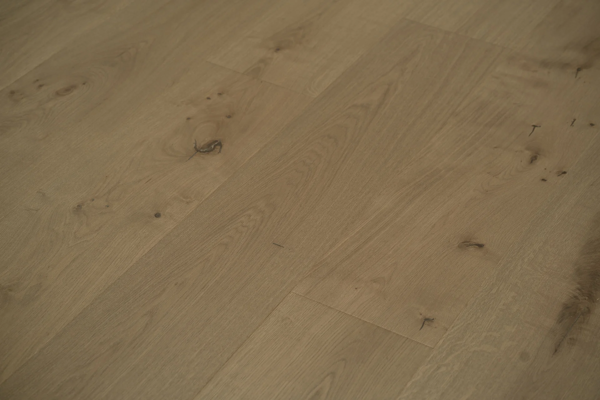 OAK TREVISO BENE-