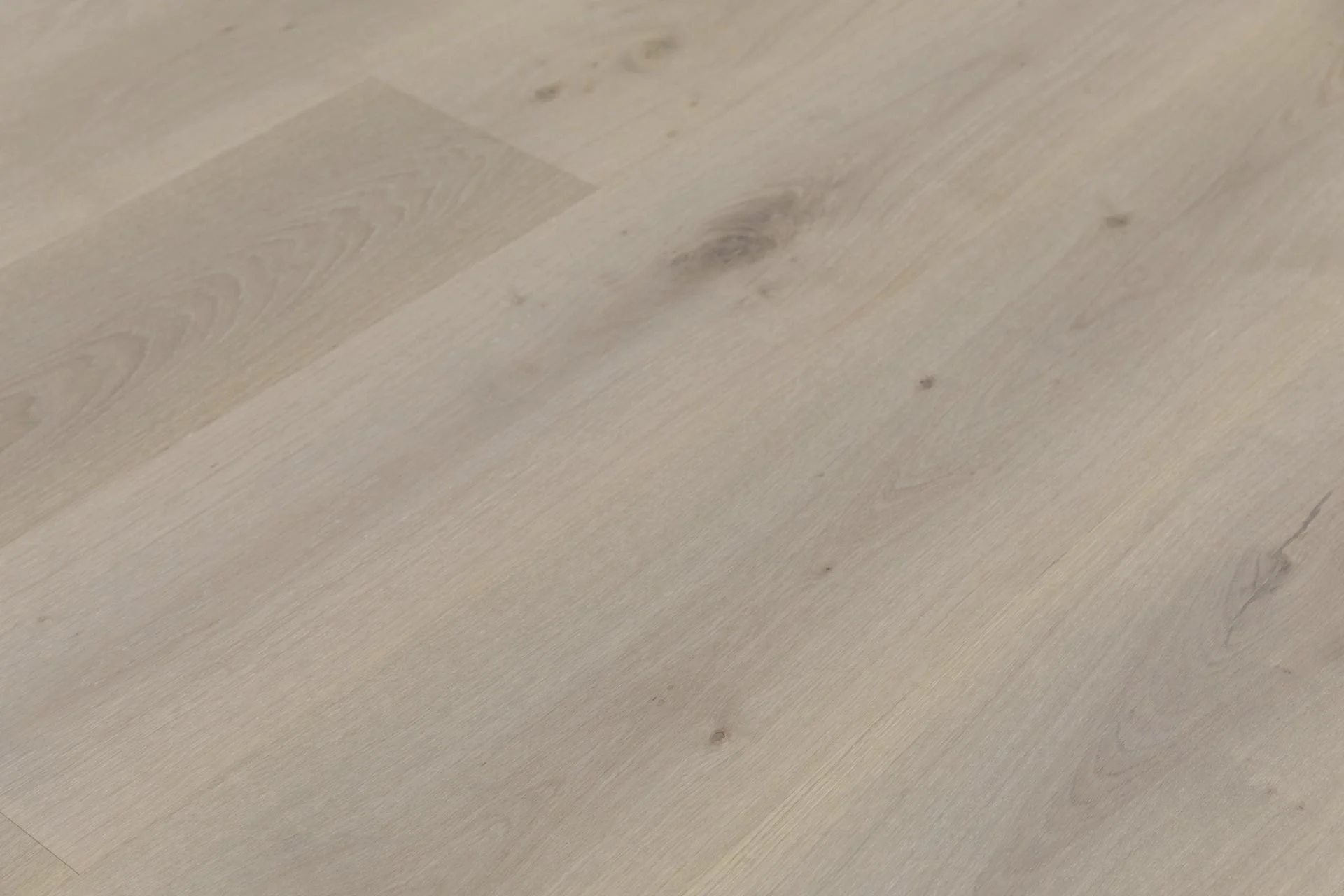 OAK VENOSA BENE-