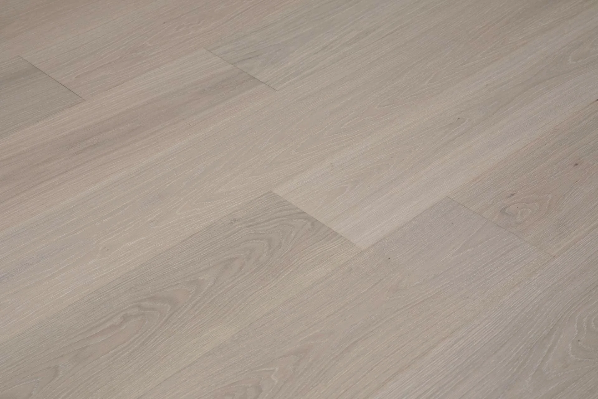 OAK VENOSA PREMIO-