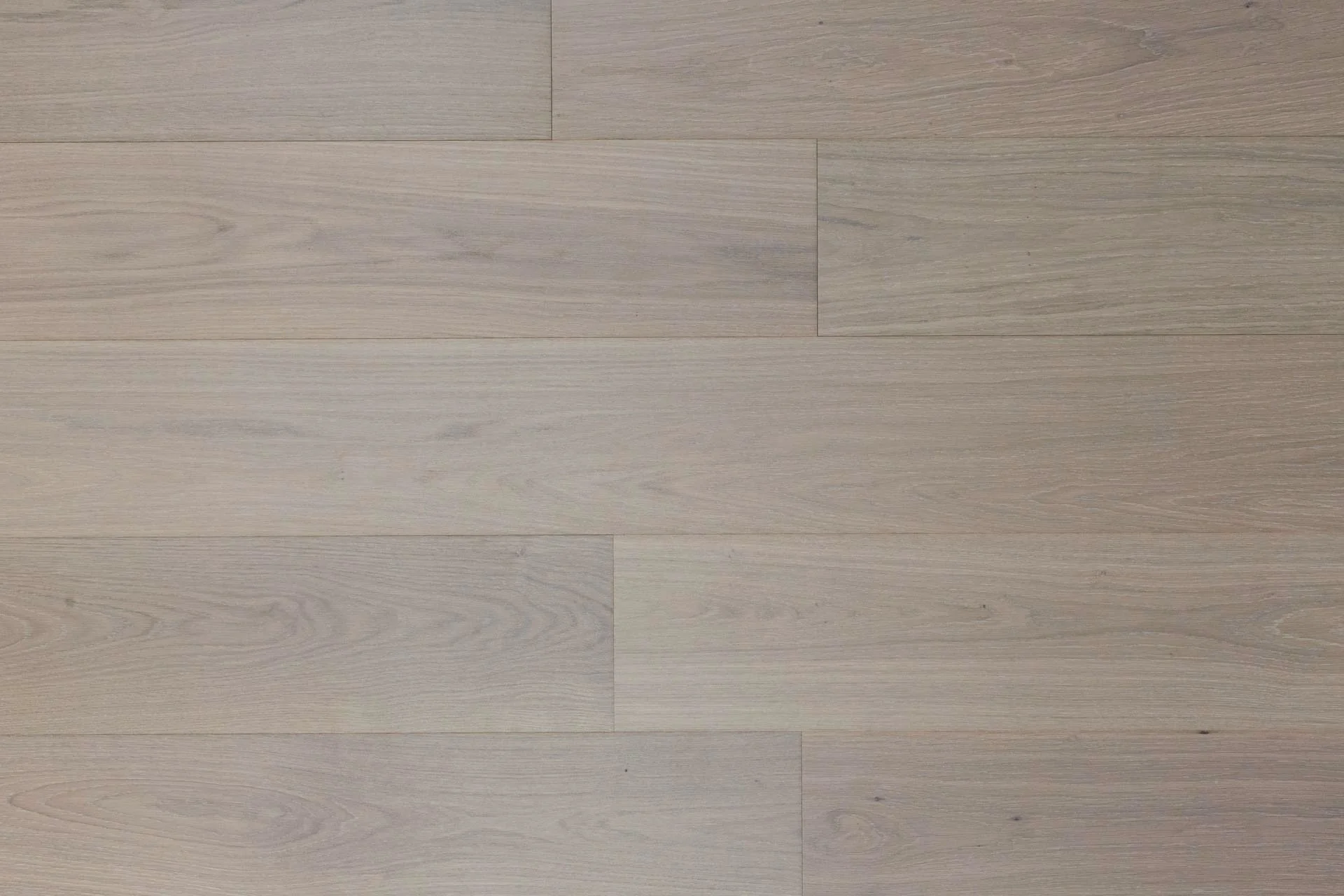OAK VENOSA PREMIO