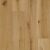 Saguaro TANR9974