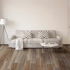 VV457-02901 - Grandure Oak-