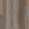 VV457-02901 - Grandure Oak