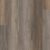 VV457-02901 - Grandure Oak