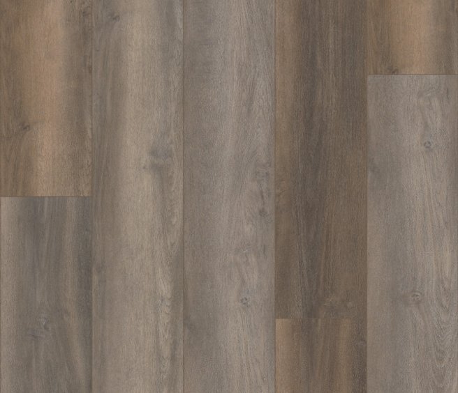 VV457-02901 - Grandure Oak